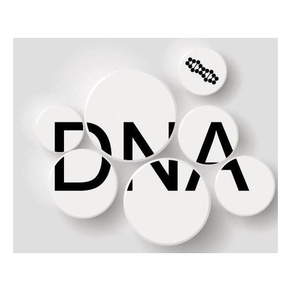 长春DNA鉴定