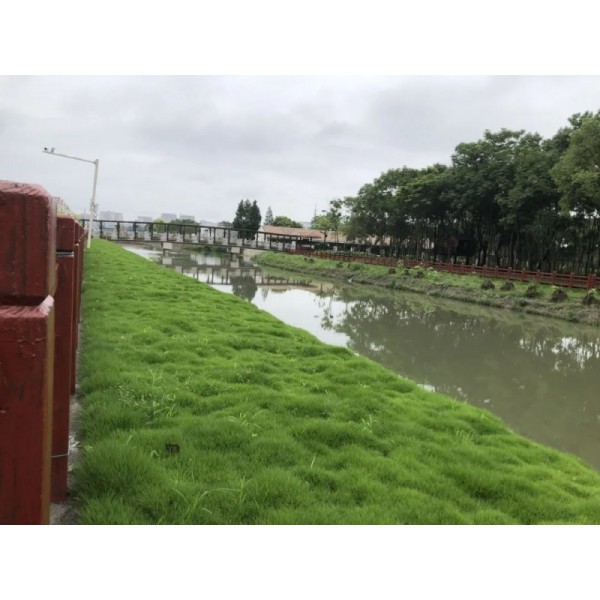 生态混凝土-绿化混凝土-植生混凝土-植被砼-生物基质混凝土