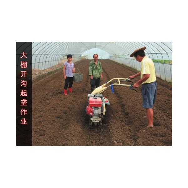开沟机辣椒开沟培土机微型培土机的价格小型开沟培土机