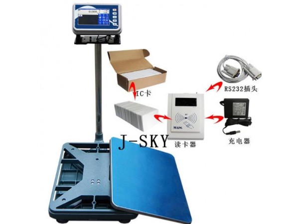 巨天智能电子秤FWN-B20S型号 可记录